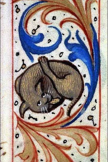 Cat Licking Butt - Medieval Marginalia Stitch Chart