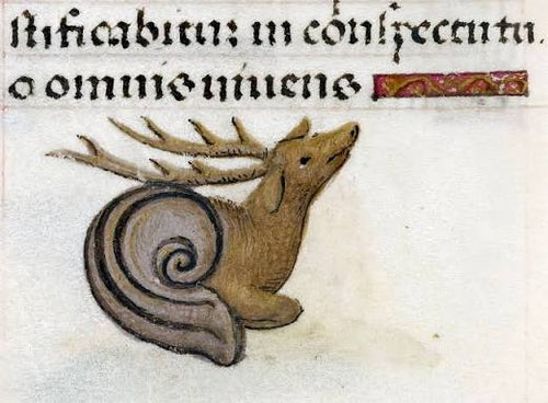 PRE-ORDER: Deer Snail Canvas